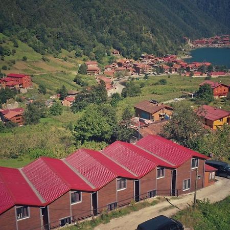 Horio Villa 乌宗 外观 照片