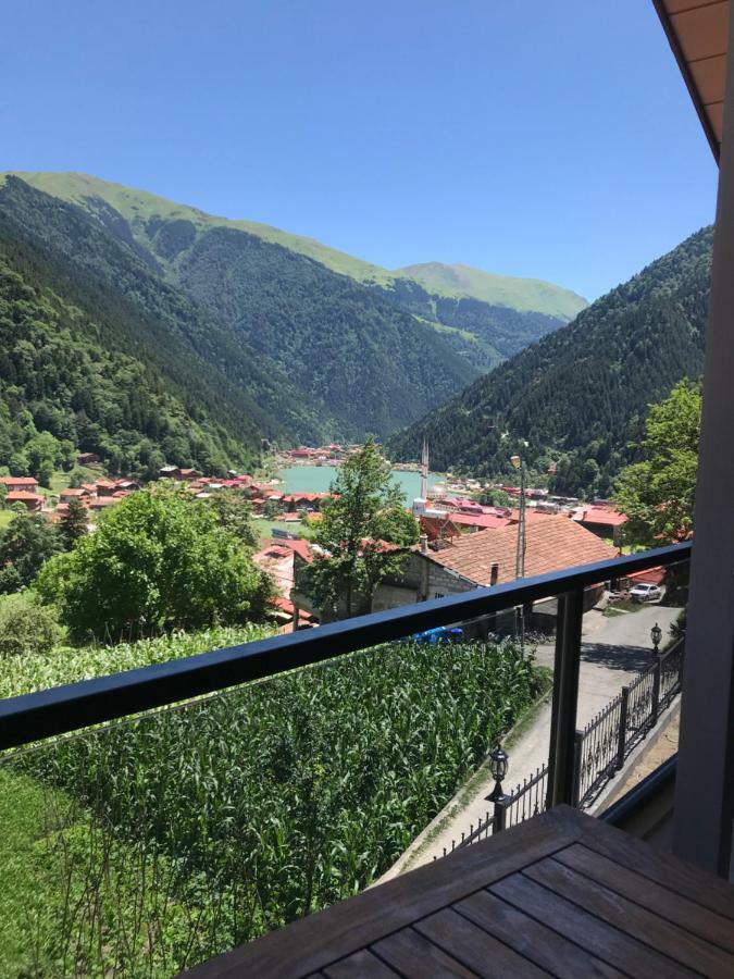 Horio Villa 乌宗 外观 照片